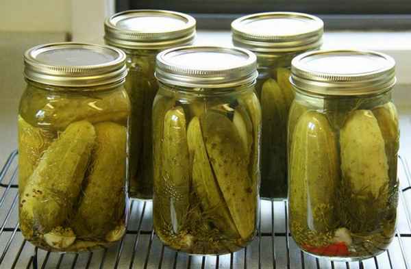 Засолка хрустящих огурцов с водкой на зиму