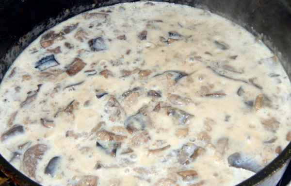 Как готовить соус из шампиньонов на молоке