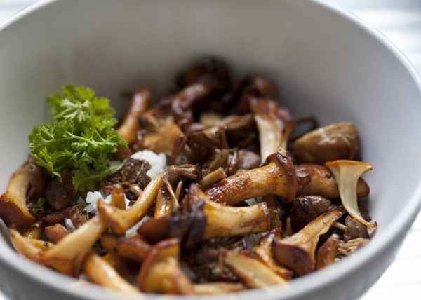 Как приготовить лисички в мультиварке