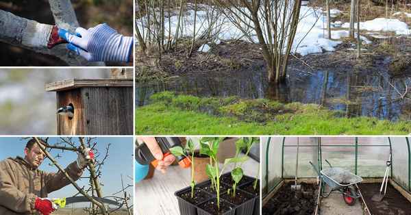 Не спешите пахать: что нужно делать с огородом в марте