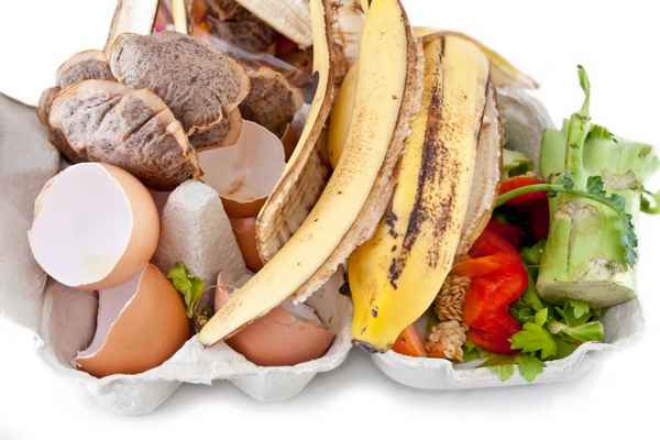 5 продуктов, которые нельзя выбрасывать. Пригодятся для огорода!