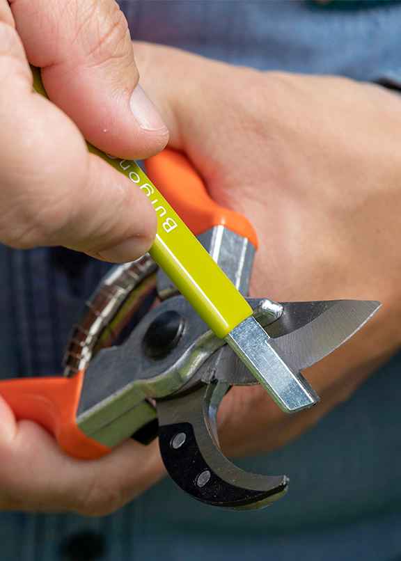 Чем можно наточить садовый инвентарь?