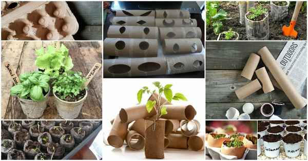 Из чего сделать горшочки для рассады? 5 интересных идей
