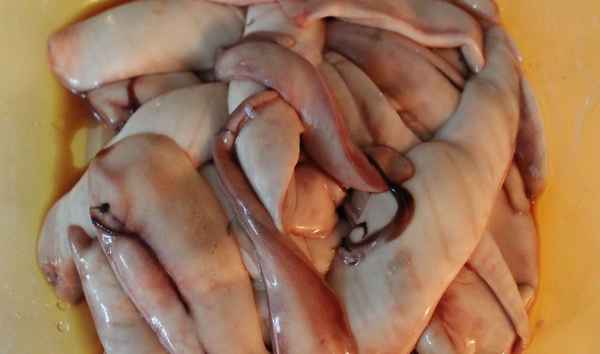 Как засолить молоки горбуши в домашних условиях