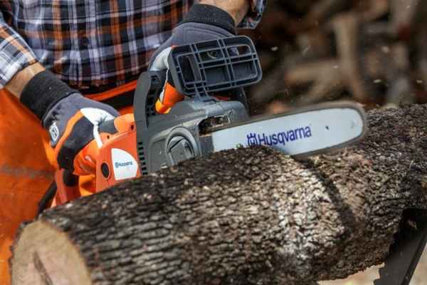 Электропила или бензопила: за и против