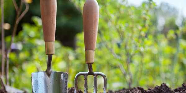 3 удобрения для огорода, которые использовали ещё наши бабушки