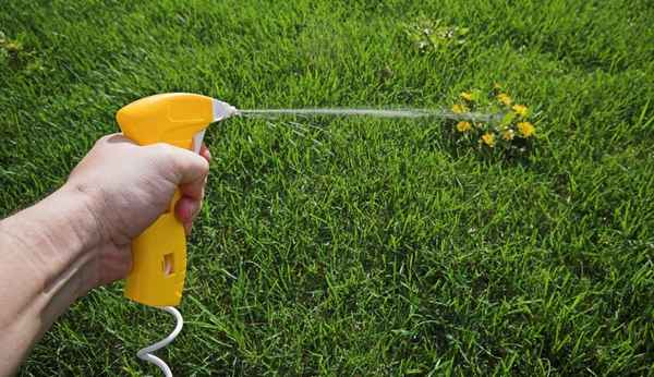 Почему гербициды признаны очень опасными?