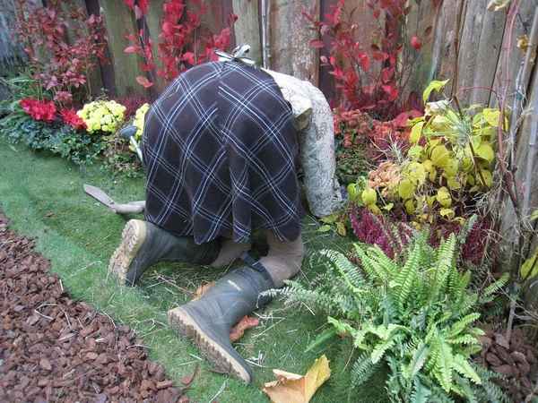 Услышала, как соседка ругает свои деревья: опросила знакомых дачников — оказывается, многие тоже так делают