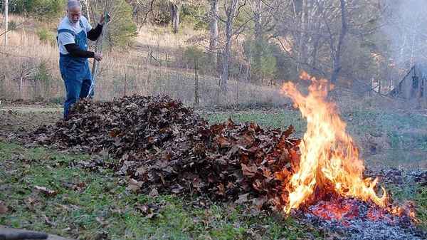 Можно ли сжигать на огороде старые ветки и листья: больше вреда, или пользы?