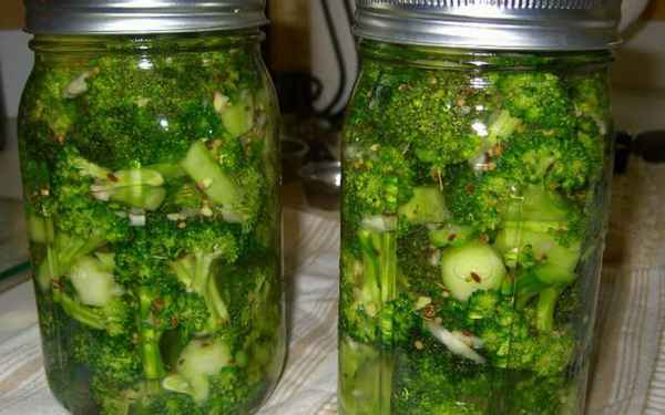 Вкусные рецепты заготовок маринованной капусты брокколи на зиму