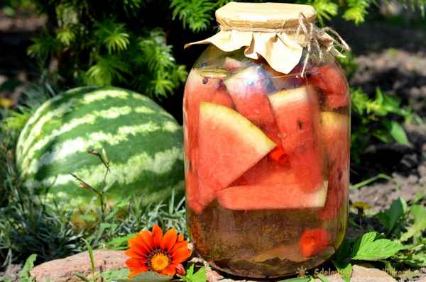 Мочёные арбузы целые: домашняя заготовка на зиму