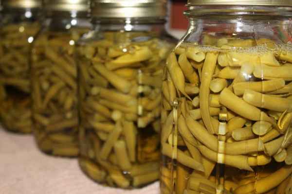 Консервация стручковой фасоли