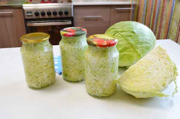 Вкуснейшие заготовки капусты в банках на зиму