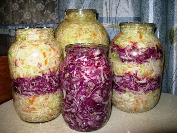 Вкуснейшие рецепты заготовок красной капусты на зиму