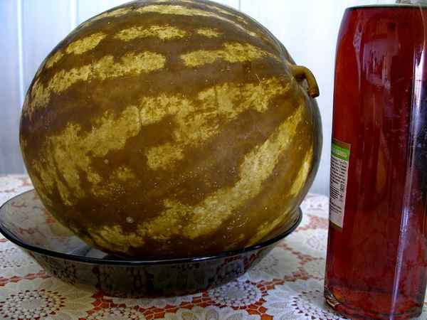 Как правильно солить арбузы в бочке