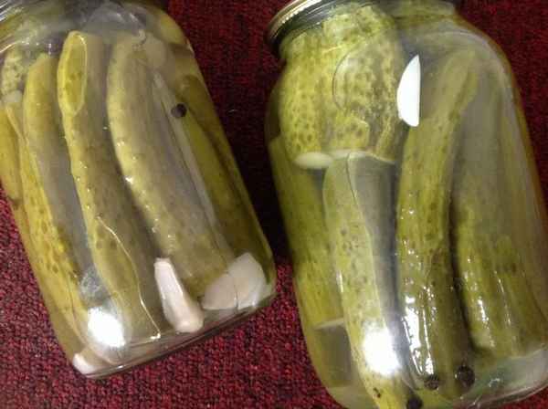 Можно ли мариновать огурцы сорта Зозуля?