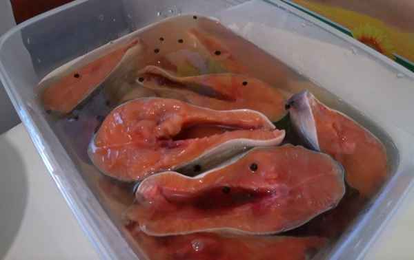 Соление горбуши в рассоле