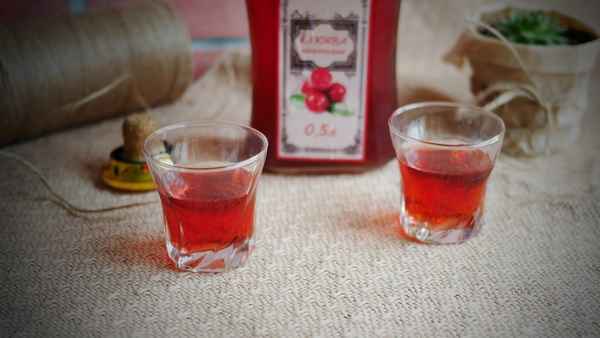 Настойка клюквы на коньяке: быстрые рецепты напитка домашнего приготовления