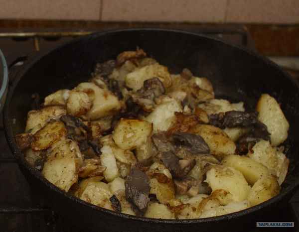 Как пожарить подосиновики с картошкой