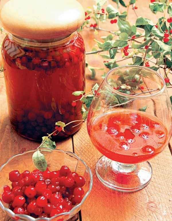 Рецепты компота из калины: из замороженной, с яблоками, на зиму