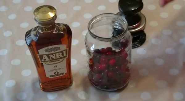 Вкусные рецепты кизиловых настоек на коньяке