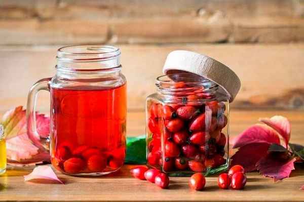 Компот из шиповника на зиму: рецепты приготовления и особенности хранения