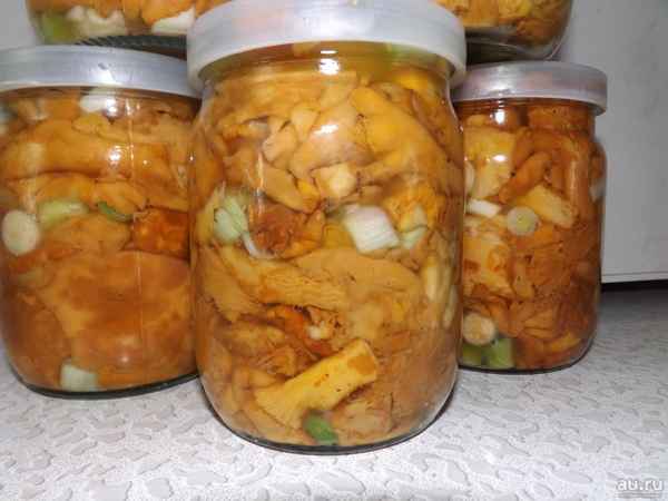 Как засолить лисички на зиму в домашних условиях