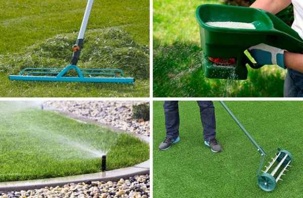 Убирать ли скошенную траву с газона