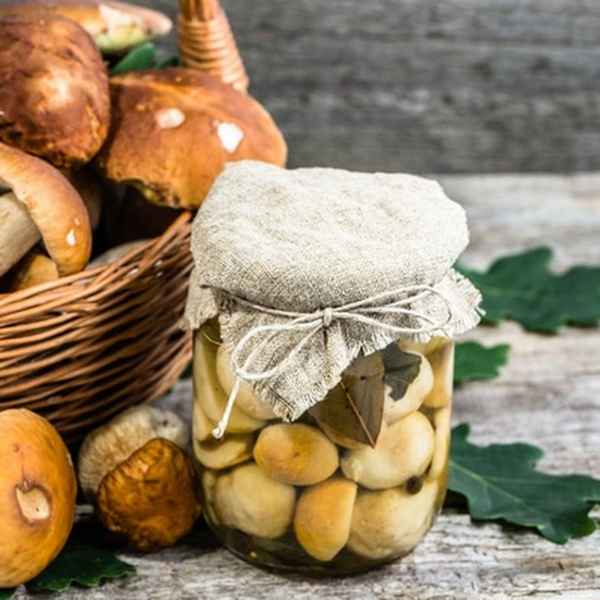 Как солить белые грибы