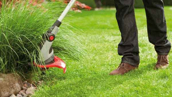 12 советов по эффективной стрижке газона