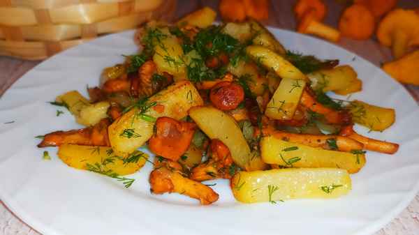 Как правильно пожарить картофель с лисичками