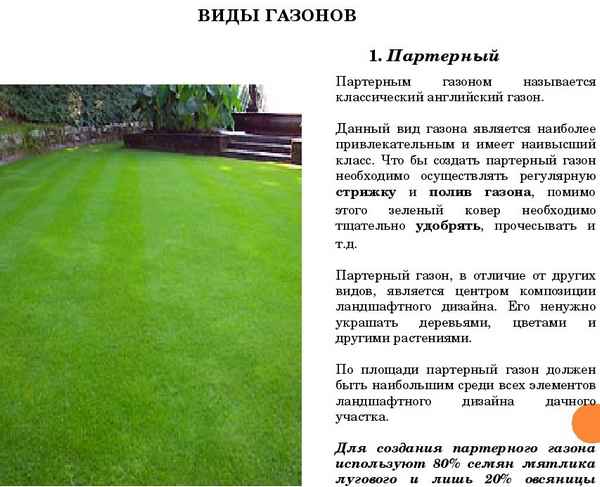 Что такое партерный газон, его устройство и уход за ним