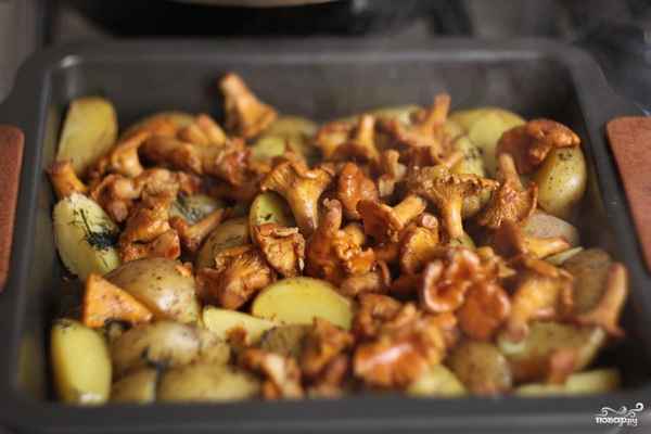 Рецепты приготовления лисичек с картофелем в духовке