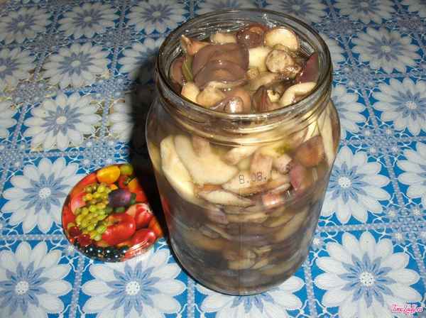 Как солить маслята горячим способом