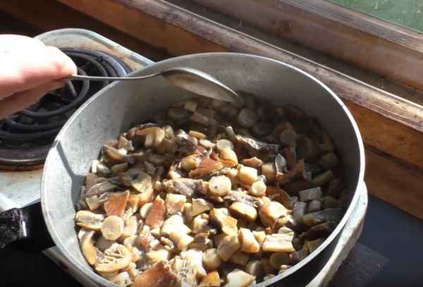 Рецепты блюд из гриба колпак кольчатый: пошаговое приготовление, особенности хранения