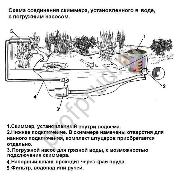 Описание скиммера для пруда и его изготовление своими руками