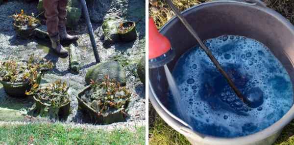 Как правильно чистить пруд медным купоросом