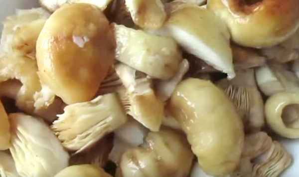 Засолка валуев холодным и горячим способами