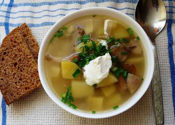 Рецепт супа из груздей