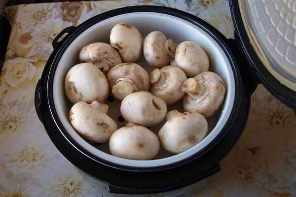 Рецепт вкусных шампиньонов на пару