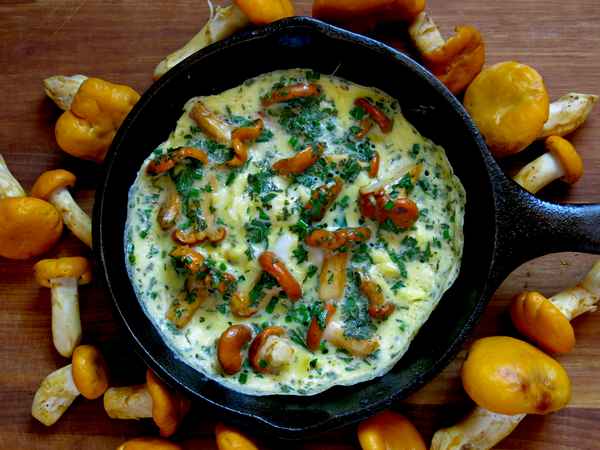 Рецепты вкусной яичницы с лисичками