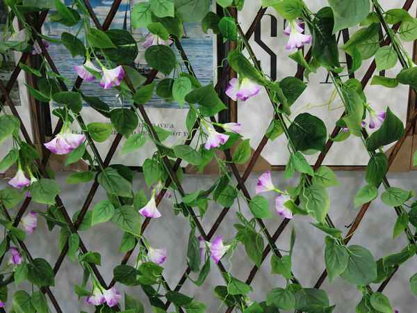 Выбор лучшей опоры для вьющихся растений: временные, постоянные, металлические или деревянные