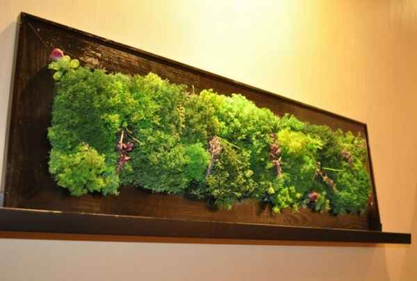 Вертикальное озеленение сада: 3 изящных и пpaктичных способа