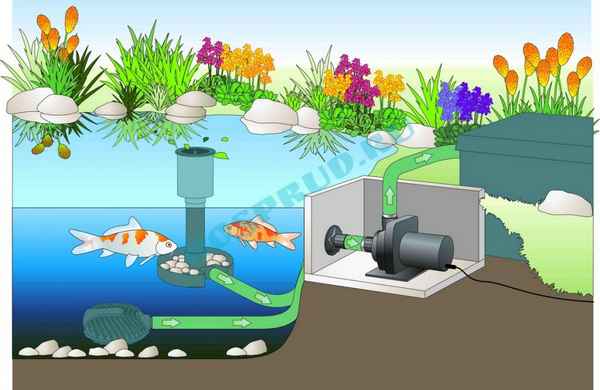 Особенности насоса для пруда