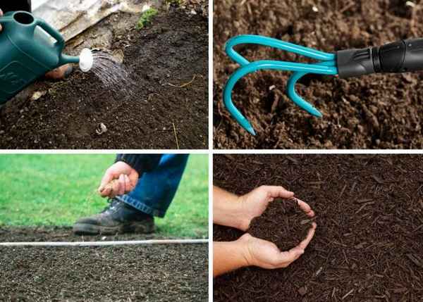 Посев травы для газона, которая уничтожает сорняки и медленно растёт