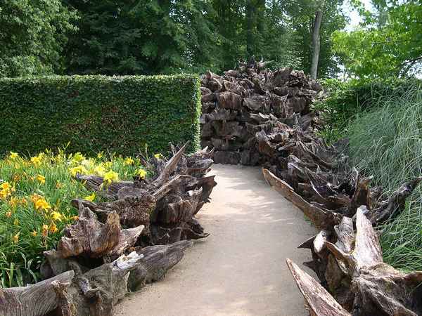 Применение рутария в ландшафтном дизайне