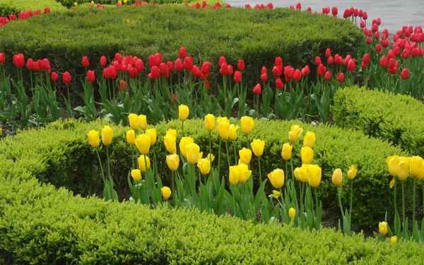 10 секретов идеального цветника