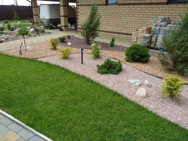 Руководство по озеленению квартиры – садоводство в небольших масштабах