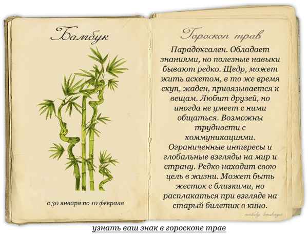 Лекарственные травы по знакам Зодиака