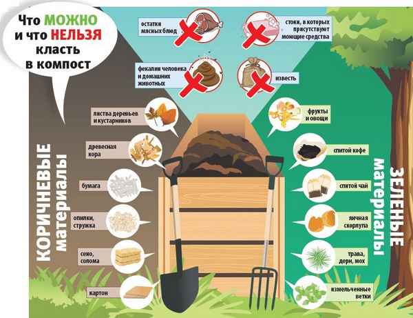 Правильный рецепт компоста: что можно класть в компост, а что нельзя?